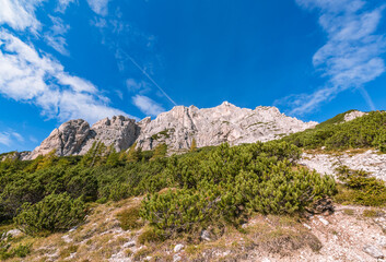 Fototapeta premium Hiking in the beautiful forest of the Alps. This is a path from mountain pass Vrsic to Slemenova spica with the look on Jalovec mountain.