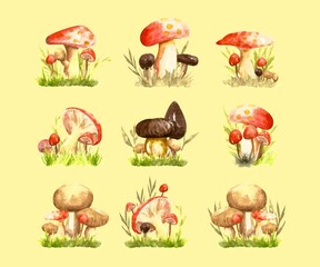 Set of watercolor red and brown mushroom clipart. Hand drawn fungus watercolor illustration.