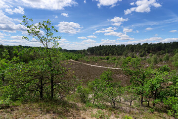 Obraz premium Melun to Vaudoué path in the hot valley. Fontainebleau forest