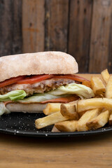 Plant based vegetarian food. Closeup view of a sandwich with notmeat, lettuce, mozzarella cheese, tomato and french fries. 