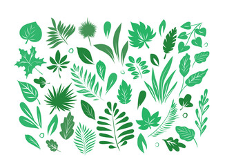 Vector illustration set of leaves isolated on a white background. Colorful collection of plants. Botanical elements for cosmetics, spa, cosmetics.Hand made.