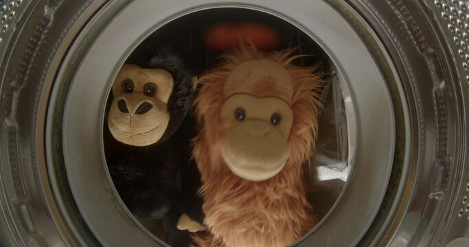 Two soft toy monkeys peek into the washing machine. Preparing to do your home routine.