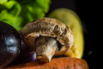 close-up of fresh mushrooms among vegetables. food concept