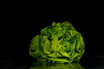 fresh and nutritious lettuce, black background, good nutrition concept