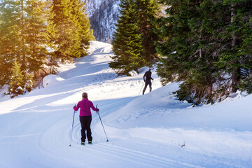Cross-country skiing. People doing outdoor sports. Winter sports and healthy lifestyle.