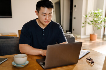 Adult calm asian man working with laptop at home