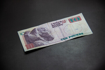 Egyptian Money, Egyptian pound, shot is selective focus with shallow depth of field. - obrazy, fototapety, plakaty