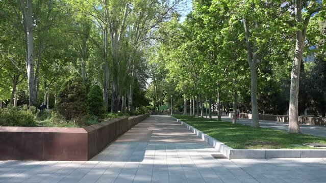 Jard&iacute;n de la Plaza de Azca Madrid (Paseo de la Castellana) 