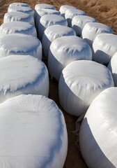 rows of straw bales piled up in a cereal field