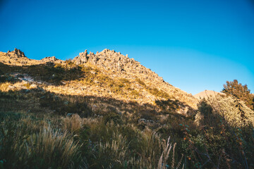 Naklejka premium paseo