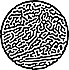 Isolated Abstract Geometric Line Design Element