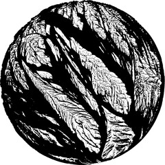 Isolated Abstract Geometric Line Design Element