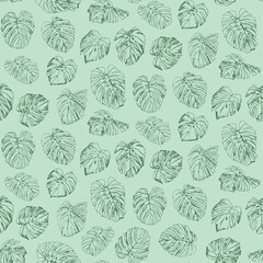 Monstera Palm leaves vector seamless pattern