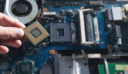 Fototapeta premium Technician hand holding cpu processor of pc.