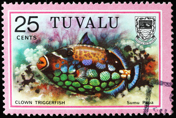 Clown triggerfish on stamp of Tuvalu