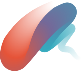 Vibrant Colorful Fluid Abstract 3D Gradient Blend Curves Shape