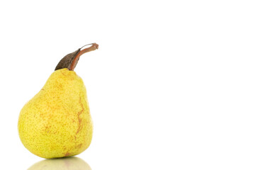 One juicy bright yellow pear, close-up, isolated on a white background.