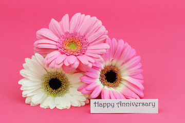 Happy Anniversary card with three pink and white gerbera daisies on pink background
