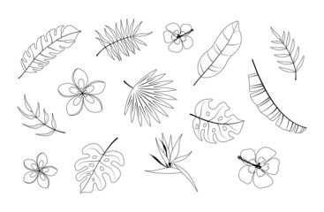 Collection of exotic tropical leaves and flowers: banana palm, plumeria, hibiscus, strelitzia, monstera. Vector elements of summer design made of black lines drawn by hand.
