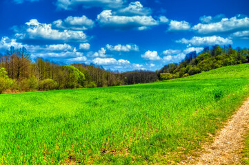 Country side landscape of agricultural field surrounded by forest during sunny day.