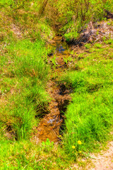 Little creek passing trough meadow.
