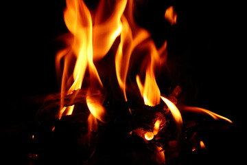 The orange flames of the campfire.
Pomarańczowe płomienie ogniska.