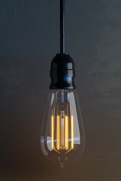 Concept d'une belle ampoule électrique fournissant une douce lumière.