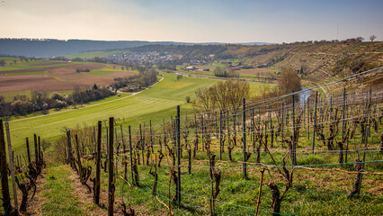 Fototapeta premium Enzschleife bei Mühlhausen an der Enz