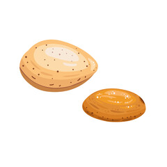 Almonds in the shell and without. Almond abstract illustration. Useful natural product.