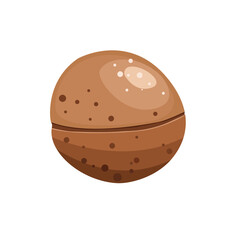 Macadamia nut in the shell. Useful natural product.