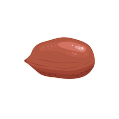 Peanut. Peanuts without a shell is a simple abstract illustration. Useful natural product.