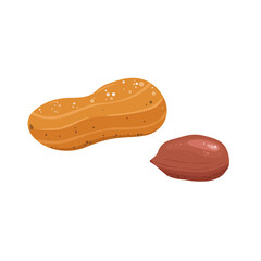 Obraz premium Peanuts in the shell and without. Peanuts illustration. Useful natural product.