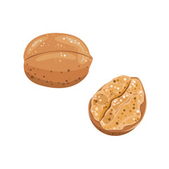 Walnut abstract illustration. Walnut in a shell. Half. Useful natural product.
