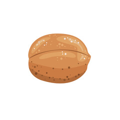 Walnut illustration. Walnut in a shell. Useful natural product.