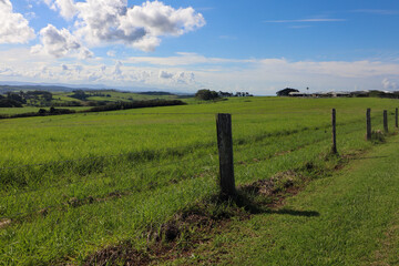 Rural country landscape, nature photography