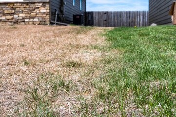Visible distinction between healthy lawn and chemical burned grass. 