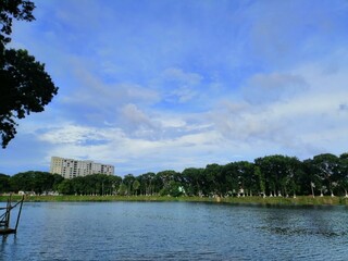 the river in the park