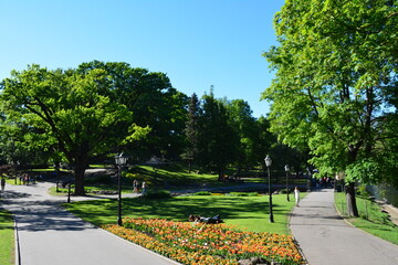 beautiful views of Riga