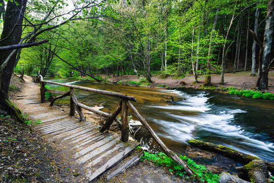 Szumy nad Tanwią, Roztocze, Poland
