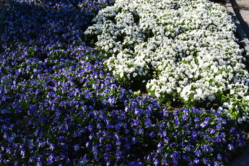 beautiful views of Riga