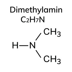 Chemical structural formulas on white background
