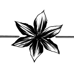 black and white flower