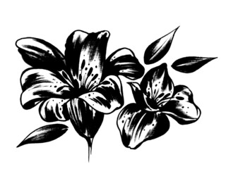black and white floral frame