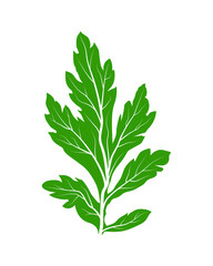 silhouette green leaf vector. leaf icon. illustration of green leaf.