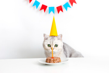 Funny white cat in a yellow paper cap sits at a white table and looks at a candle in a canned cat cake