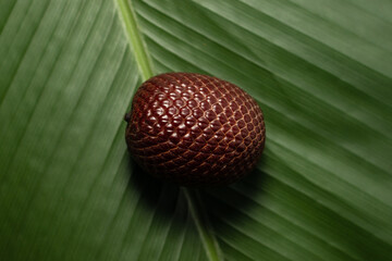Aguaje is a highly appreciated fruit in the Amazon for its flavor and nutritional properties.