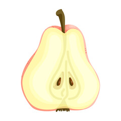 Pear rug.Vector summer fruit isolated on white background.