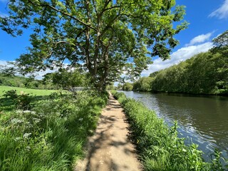 Looking along a footpath, by the River Aire, with wild plants, trees, and nearby fields in, Hirst Wood, Shipley, UK 