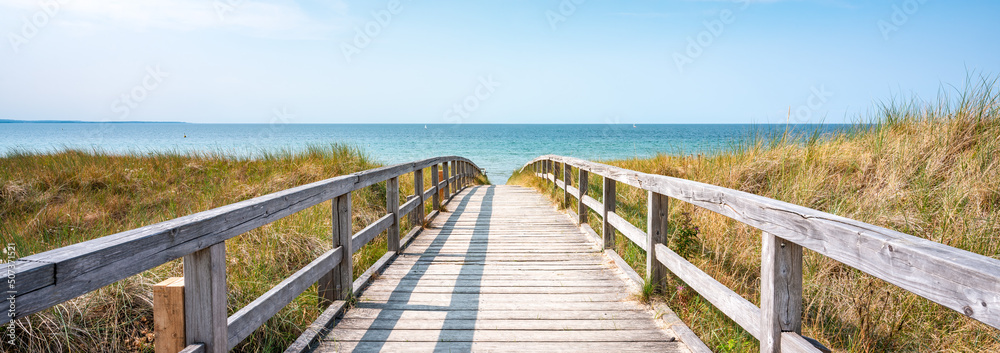 Wall mural pathway to the beach in summer