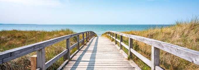 Pathway to the beach in summer